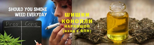 СК Белокуриха