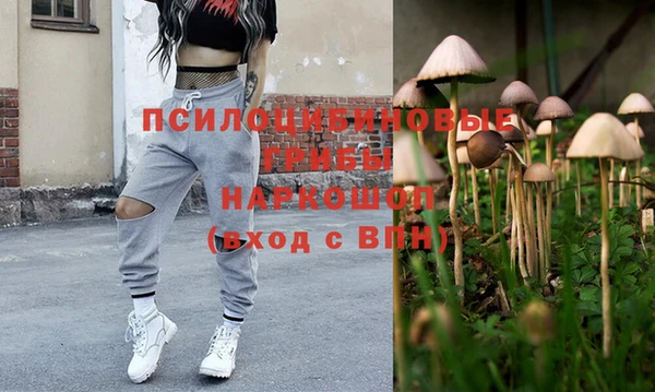 СК Белокуриха