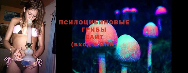 стафф Беломорск