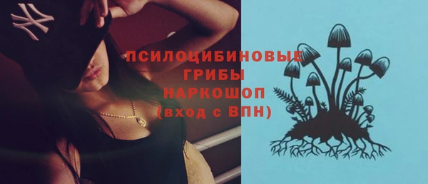 СК Белокуриха