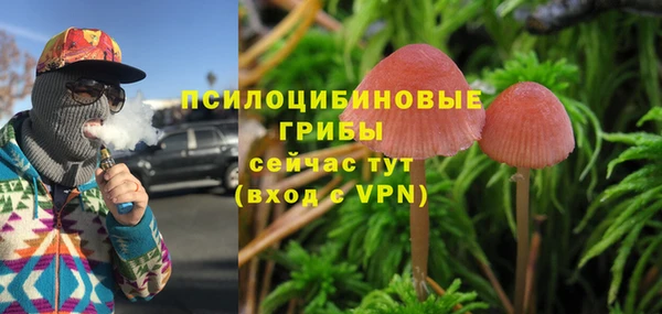 СК Белокуриха