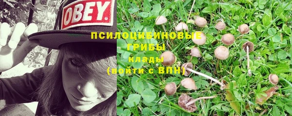 СК Белокуриха