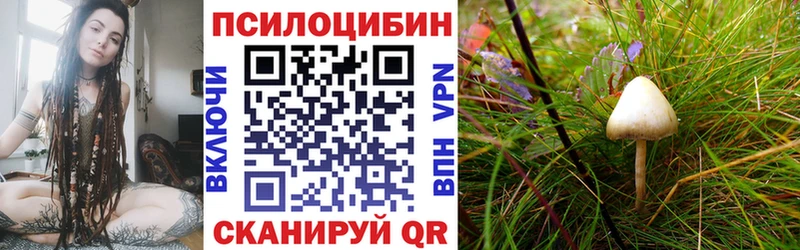 Псилоцибиновые грибы Psilocybine cubensis Болохово
